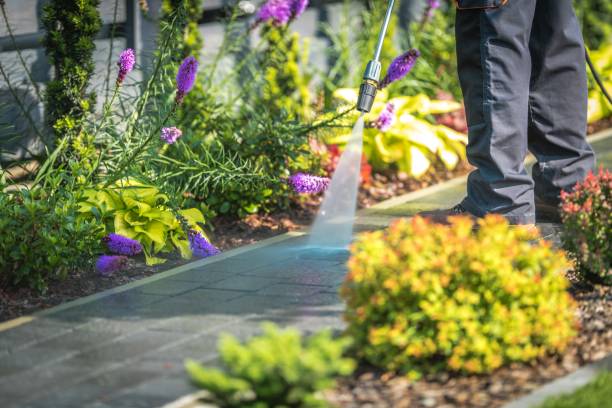 Trusted Panthersville, GA Pressure Washing Experts